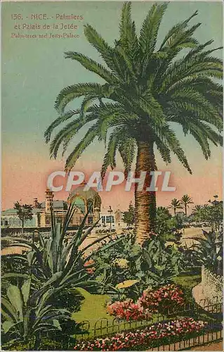 Cartes postales Nice Palmiers et Palais de la Jetee
