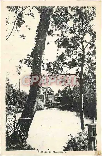 Cartes postales Bief de la Moriniere