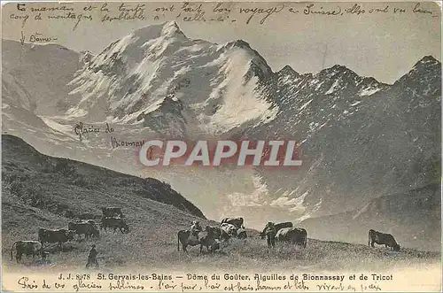 Cartes postales St Gervais les Bains Dome du Gouter Aiguillesde Bionnassay et de Tricot Vaches