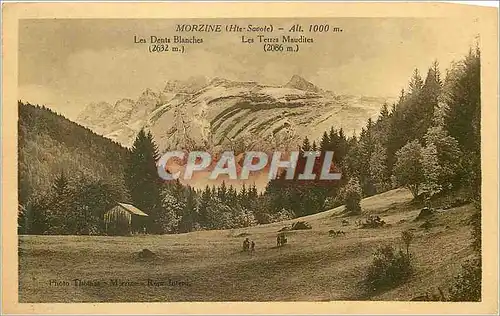 Cartes postales Morzine (hte Savoie) Alt 1000 m Les dents blanches Les terres maudites
