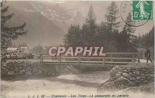 Ansichtskarte AK Chamonix Les Tines La Passerelle du Paradis