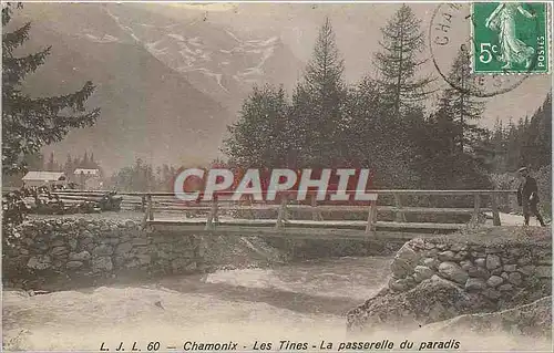 Cartes postales Chamonix Les Tines La Passerelle du Paradis