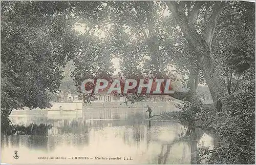Cartes postales Creteil Bords de Marns L'Arbre Penche