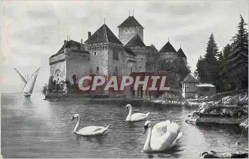 Cartes postales moderne Lac Leman Chateau de Chillon Cygnes Bateau