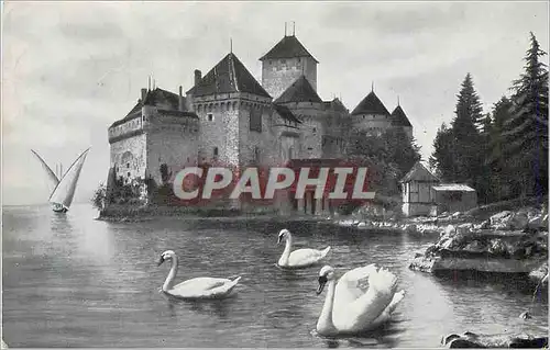 Moderne Karte Lac Leman Chateau de Chillon Cygnes Bateau