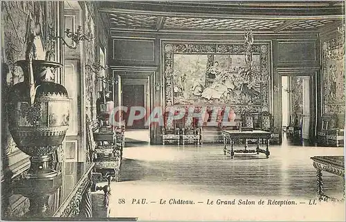 Cartes postales Pau Le Chateau Le Grand Salon de Reception