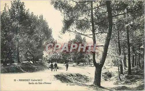 Ansichtskarte AK Pornichet (Loire Inf) Sortie de Bois d'Amour