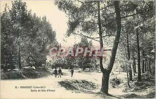 Cartes postales Pornichet (Loire Inf) Sortie de Bois d'Amour