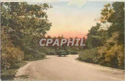 Cartes postales Drive in Seneca Park Rochester NY