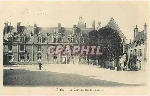 Cartes postales Blois Le Chateau Facade Louis XII