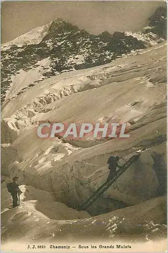 Cartes postales Chamonix Sous les Grands Mulets Alpinisme