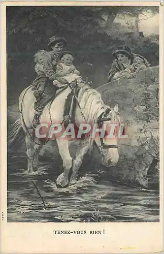 Ansichtskarte AK Tenez vous bien Cheval