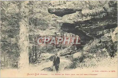 Cartes postales Saint Die (Vosges) la Roche du Hoff