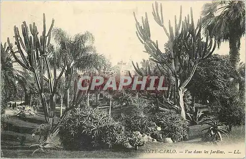 Cartes postales Monte Carlo Vue dans les Jardins