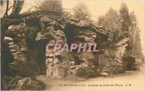 Cartes postales Rennes (I et V) La Grotte du Jardin des Plantes