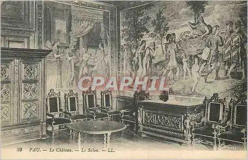 Cartes postales Pau Le Chateau Le Salon