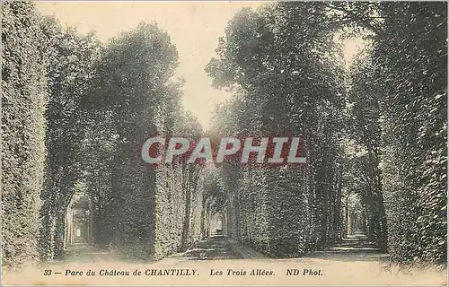 Cartes postales Parc du Chateau de Chantilly Les Trois Allees