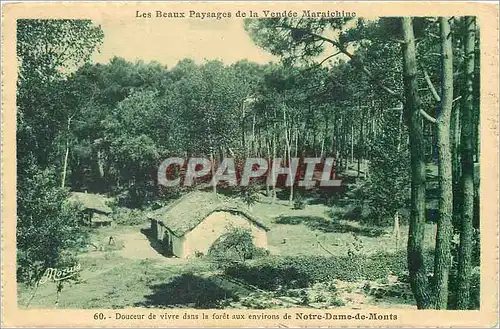 Cartes postales Douceur de Vivre dans la Foret aux Environs de Notre Dame de Monts Vendee