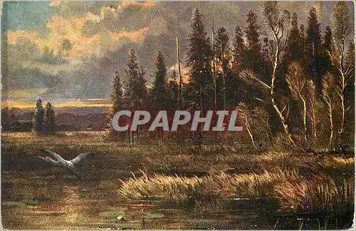 Cartes postales Fantaisie