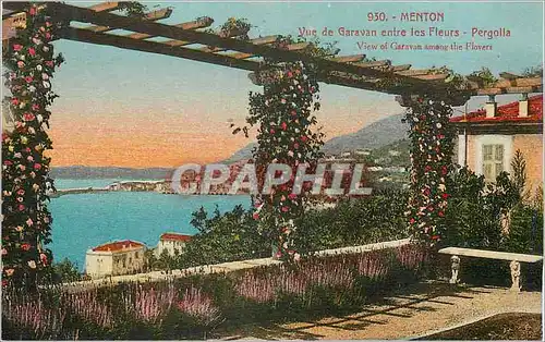 Cartes postales Menton Vue de Garavan entre les Fleurs Pergolla