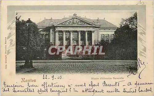 Cartes postales Nantes Musee d'Histoire Naturelle