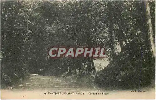 Cartes postales Montfort l'Amaury (S et O) Chemin de Bluche