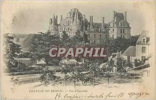 Cartes postales Chateau de Brissac Vue d'Ensemble