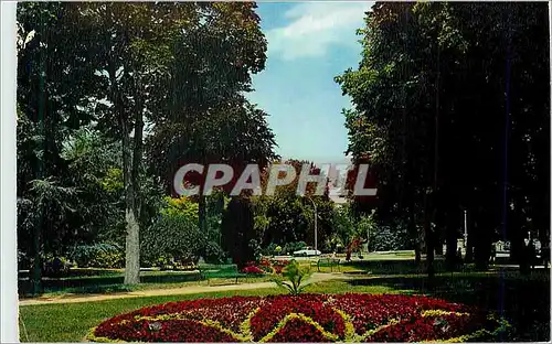 Cartes postales moderne Neris les Bains (Allier) le Parc