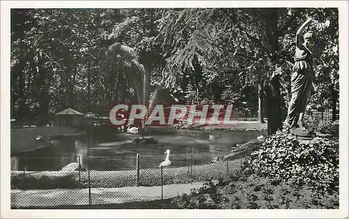 Cartes postales moderne Offenburg in Baden Schwanenleich