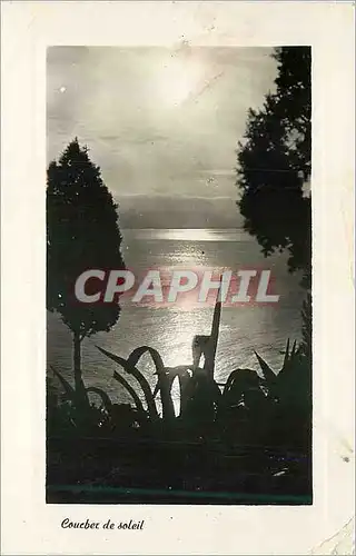 Cartes postales moderne La Cote d'Azur Coucher de Soleil