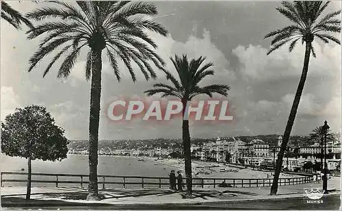 Cartes postales moderne Nice le Quais des Etats Unis