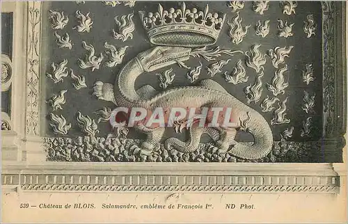 Cartes postales Chateau de Blois Salamandre embleme de Francois 1er