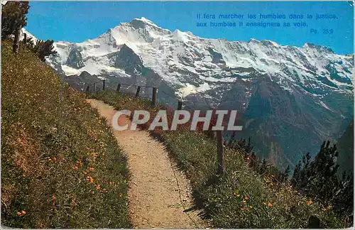 Cartes postales Schynige Platte Jungfrau