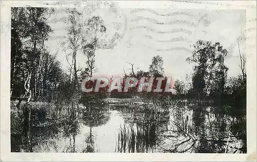 Cartes postales moderne Fontainebleau
