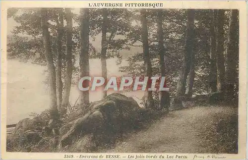 Ansichtskarte AK Environs de Besse L'Auvergne Pittoresque Les Jolis Bords du Lac Pavin