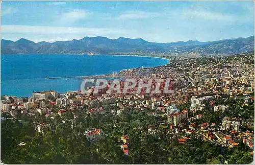 Cartes postales moderne Cannes Vue Generale prise de la Californie