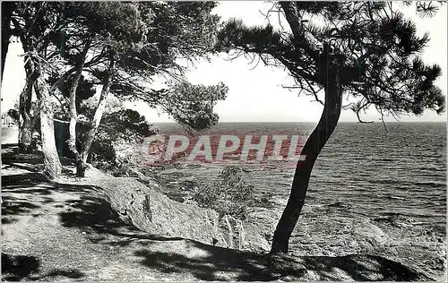 Moderne Karte Calanques des Issambres Pinedes et Bord de Mer