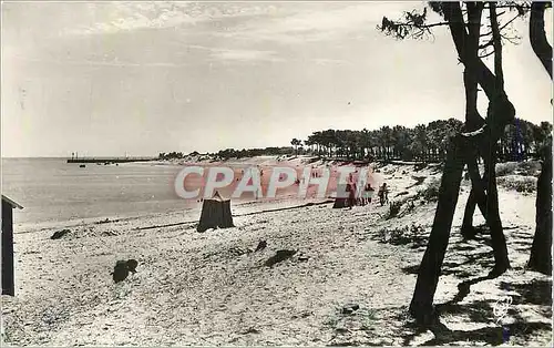 Cartes postales moderne Boyardville La Plage