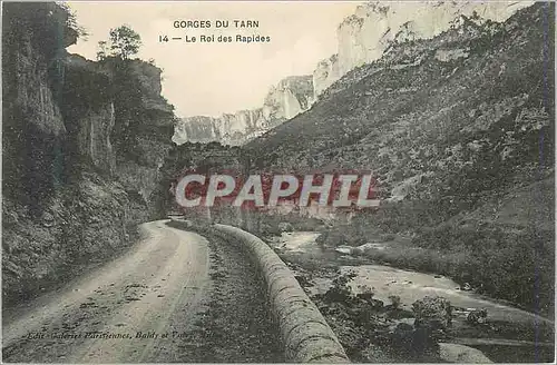 Cartes postales Gorges du Tarn Le Roi des Rapides