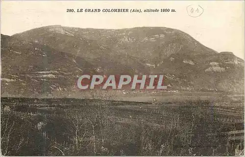 Cartes postales Le Grand Colombier (Ain) Altitude 1800 m