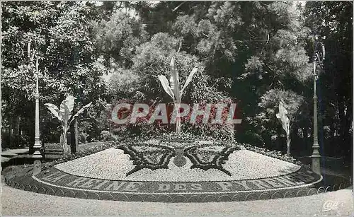 Cartes postales moderne Luchon Le Parc du Casino Papillon