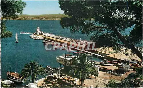Cartes postales moderne Sanary Le Port et la Jetee Bateaux