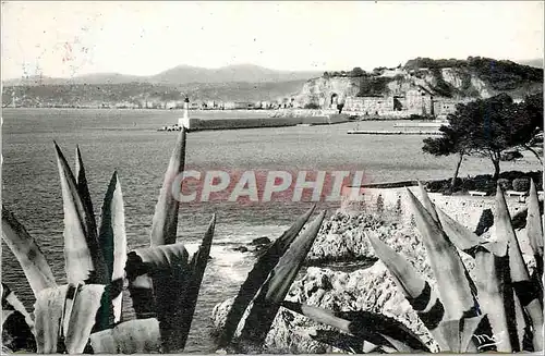 Cartes postales moderne Nice La Cote d'Azur L'Entree du Port