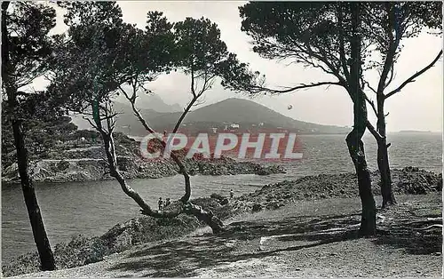 Moderne Karte Agay Baie de Camp Long Au Fond Hotel la Baumette