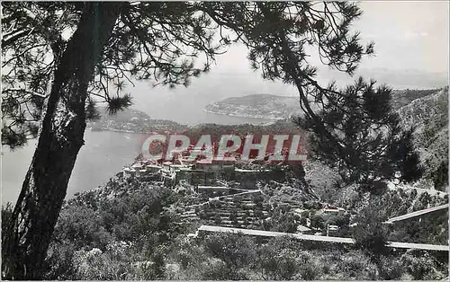 Cartes postales moderne Eze (Alpes Maritimes) La Cote d'Azur Vue du Nid d'Aigle entre les Pins