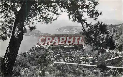 Moderne Karte Eze (Alpes Maritimes) La Cote d'Azur Vue du Nid d'Aigle entre les Pins