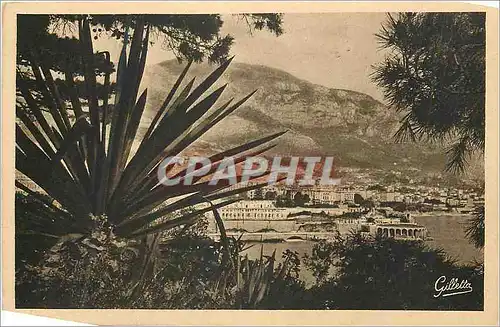 Cartes postales Monte Carlo Cote d'Azur Artistique ENtre les Arbres