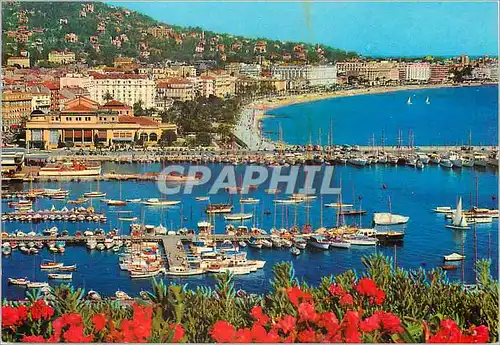 Cartes postales moderne Cannes Cote d'Azur French Riviera Vue Generale Le Vieux Port Bateaux