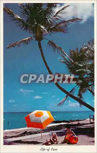 Cartes postales moderne Life of Ease on Golden Sand in Florida
