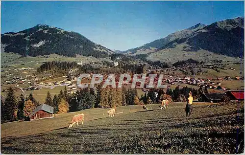Cartes postales moderne Gstaad (Hornberg Gifferhorn Wasserngraf)